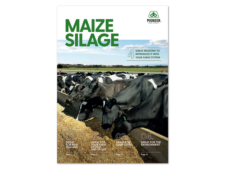 Maize Silage Brochure