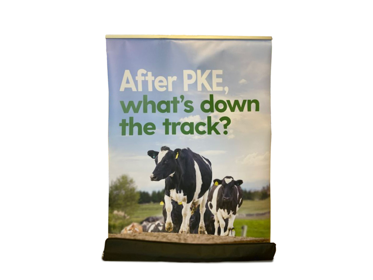 Pull Up Banner - After PKE, what's down the track?